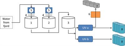 Microbial Communities in a Flow-Through Fish Farm for Lumpfish (Cyclopterus lumpus L.) During Healthy Rearing Conditions